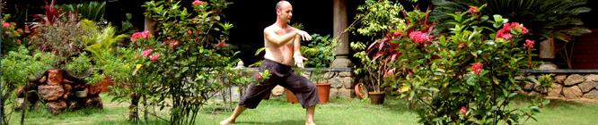 Headerbild Gesundheitstourismus: Tai-Chi im Somaatheram Ayurveda Resort in Kerala Indien. Health tourism: A man practising Tai-CHi in the ayurvedic health resort Somaatheram in Kerala, India.