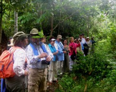 Eine Personengruppe der MS Bremen beim Dschungelausflug mit Amazonas-Wissenschaftlern und Umweltschützer
