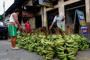 Peru: Bananen-Strassenverkäufer in Iquitos im Amazonas. Peruanian banana-street-dealer in Iquitos in the amazonian region. Bildreferenz: PERU_Iquitos75