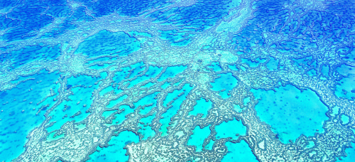 Headerbild Airial shot of a Coral-Reef in the Whitsunday Islands, Great Barrier Reef, Queensland, Australia. © GMC Photopress, Gerd Müller, gmc1@gmx.ch