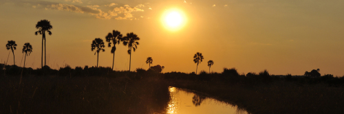 1260px Header Sunset Okavango-Delta