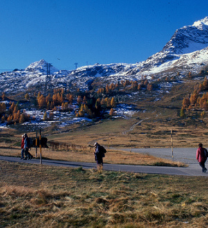 Beliebt: Herbst-Wanderungen in den Schweizer Alpen beim Bernina-Pass. Trekking in the swiss mountains at the Bernina-Pass