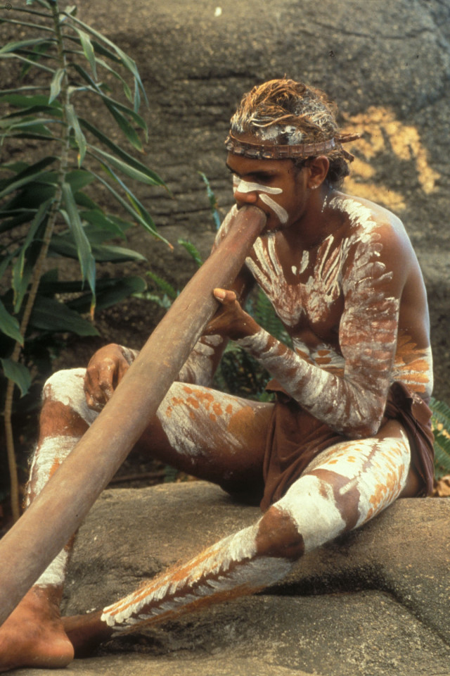 Australien: Ein Kukulanji Aborigines bläst ins Diggeridoo im Tjapukai Cultural Village nahe Cairns. A Kukulaji-Aborigines men plays the diggeridoo in the Tjapukai Village near Cairns.