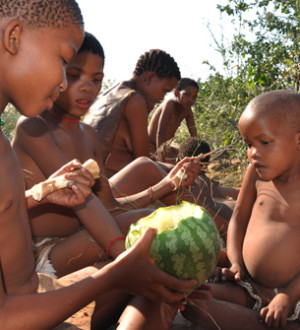 Botswana: Naro-San-People near Ghanzi in the central Kalahari eating a melon. Naro-Buschmann-Sippe nahe Ghanzi in der Zentral-Kalahari von Botswana essen eine Melone