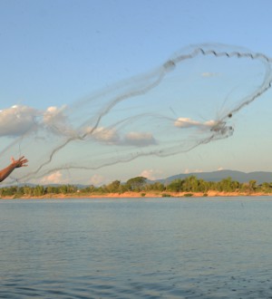 Laos: Mekong River Fishing 4338
