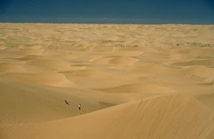 Namibia: In der ältesten Wüste der Welt herumkraxeln. Tourist attraction: The world oldest desert in Namibia