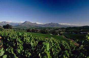 Südafrika: Stellenbosch Wineyards, beautyfull scenery, wines & spa's. Wellness, Gesundheit, Winzer, Weingüter,